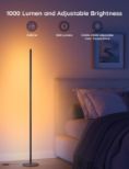 GOVEE RGBICW Floor Lamp Basic