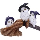 NEMESIS NOW FEATHERED BROOMSTICK figura 26CM