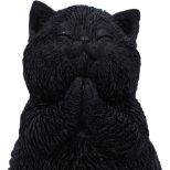 NEMESIS NOW WHISKER WISH figura 8.5CM