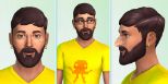 The Sims 4 (pc)