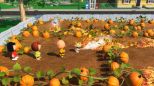 Snoopy: The Great Mystery Club (Playstation 5)