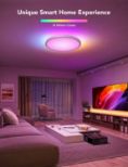 GOVEE RGBWW + RGBIC Smart Ceiling Light 30cm