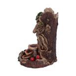 NEMESIS NOW THE WISEST DRYAD BACKFLOW kadilnik 18CM