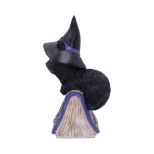 NEMESIS NOW POCUS 12,7CM figura