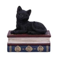 NEMESIS NOW SALEMS SPELLS 11,7CM figura