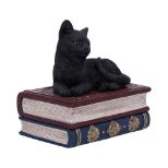 NEMESIS NOW SALEMS SPELLS 11,7CM figura