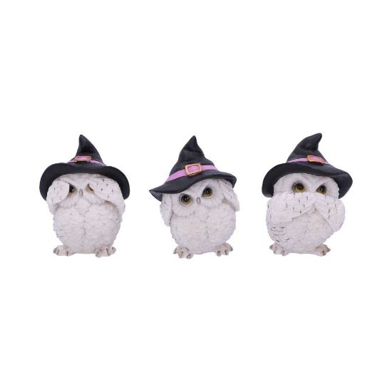 NEMESIS NOW THREE WISE FEATHERED FAMILIARS 9CM set figuric