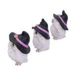 NEMESIS NOW THREE WISE FEATHERED FAMILIARS 9CM set figuric