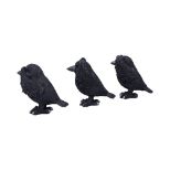 NEMESIS NOW THREE WISE RAVENS 8,7CM set figur