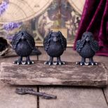 NEMESIS NOW THREE WISE RAVENS 8,7CM set figur