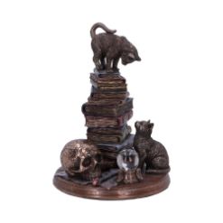 NEMESIS NOW FELINE SCHOLARS 18CM figura