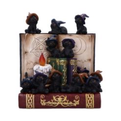NEMESIS NOW COVEN KEEPERS ASSORTED figurica