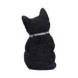 NEMESIS NOW CATTITUDE figura 16.5CM