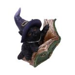 NEMESIS NOW KITTY'S GRIMOIRE (GREEN) 8,2CM figura