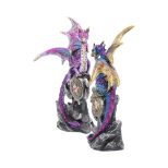 NEMESIS NOW REALM PROTECTORS (SET OF 2) figuri 15CM