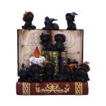 NEMESIS NOW COVEN KEEPERS ASSORTED figurica