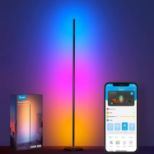 GOVEE RGBICW Floor Lamp Basic