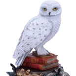 NEMESIS NOW Harry Potter Hedwig figurica