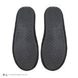 CINEREPLICAS: HARRY POTTER - GRYFFINDOR copati EU 40-45 / US 7-11