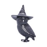 NEMESIS NOW Owlocen figurica