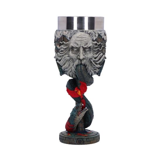 NEMESIS NOW Harry Potter Chamber of Secrets zbirateljski kelih