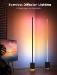 GOVEE RGBICWW Floor Lamp Pro