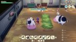Story Of Seasons: Grand Bazaar (Nintendo Switch 2)