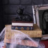 NEMESIS NOW SALEMS SPELLS 11,7CM figura
